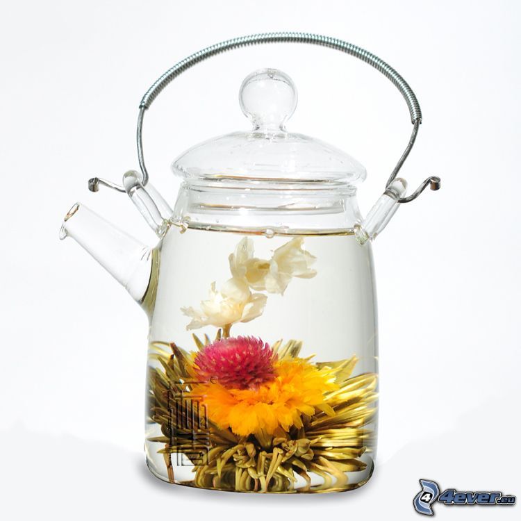 flowering tea, teapot