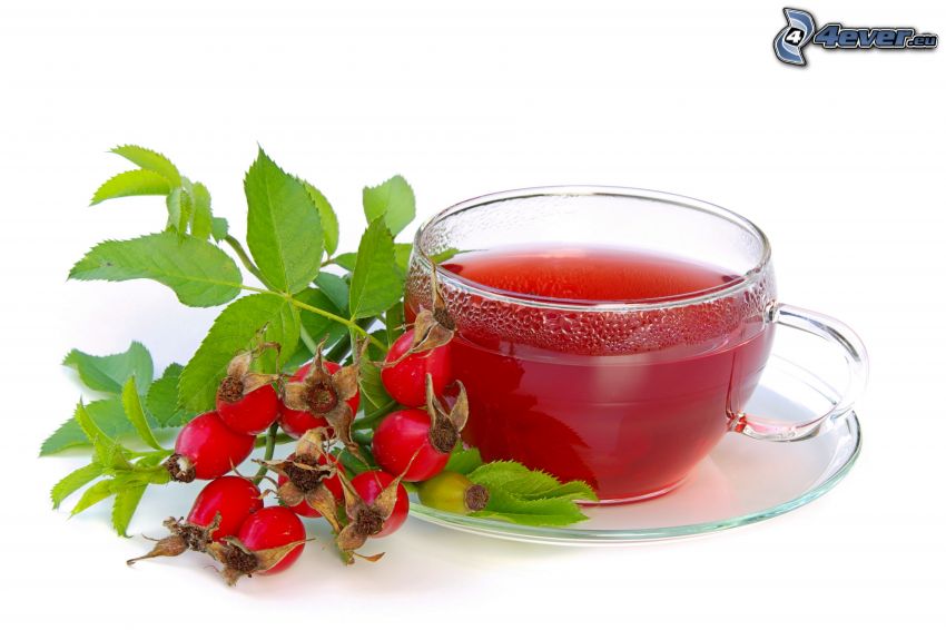 herbal tea, dog rose