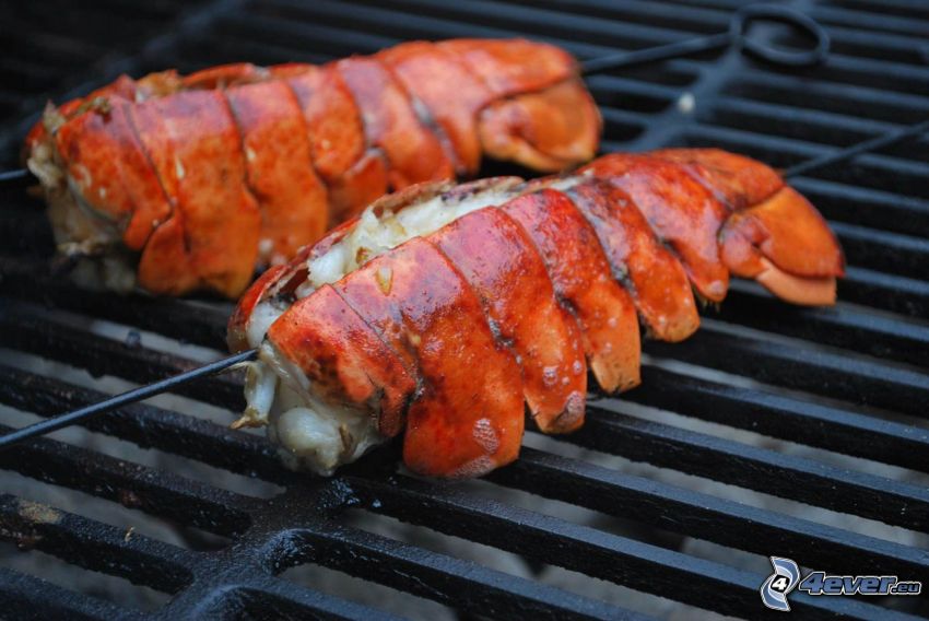 lobsters, grill