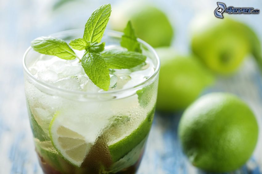 mojito, limes, mint leaves, ice cubes