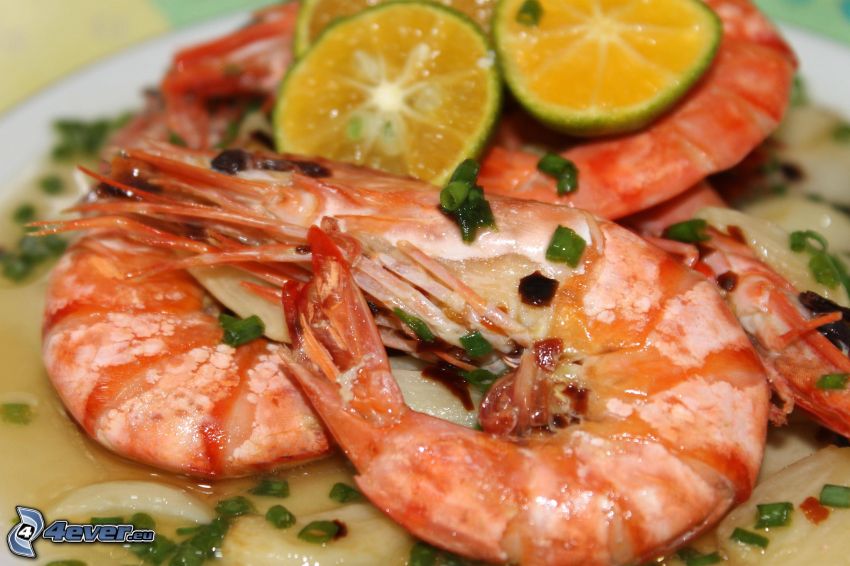 shrimp, a slice of lime