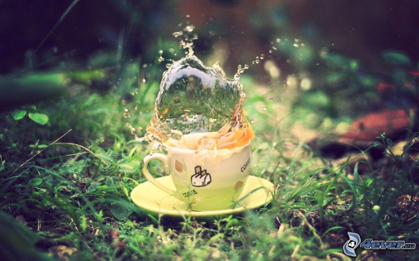 splash, cup of tea, grass