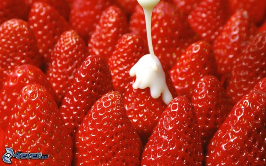 strawberries, milk
