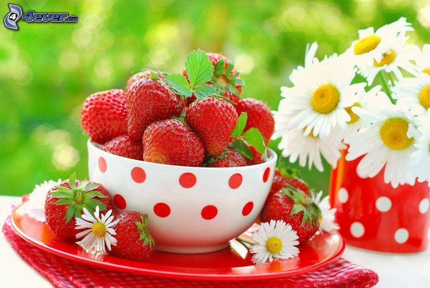 strawberry sundae, strawberries, daisies