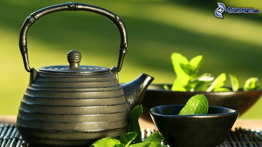 teapot, mint