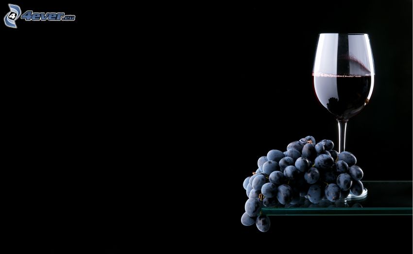 wine, grapes