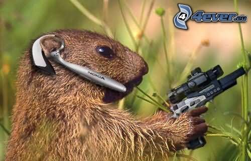 beaver, spy, weapon, pistol