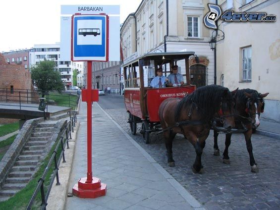 carriage, horses