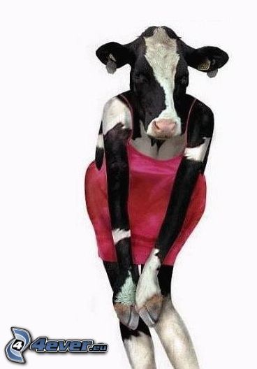 cow, red dress, erotic