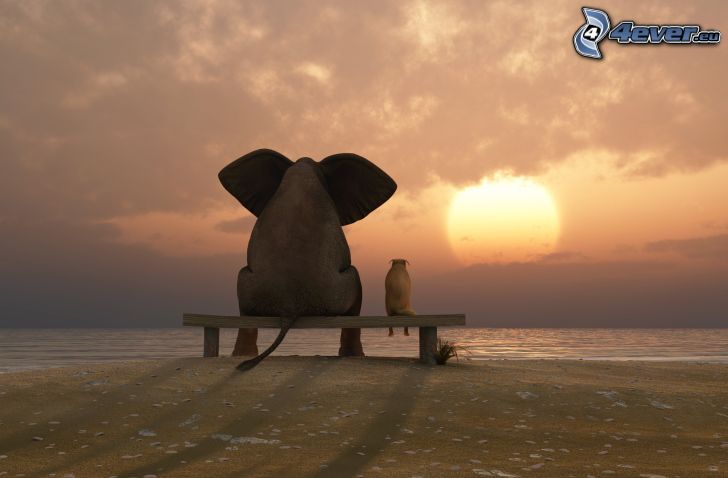 elephant, dog, bench, sunset