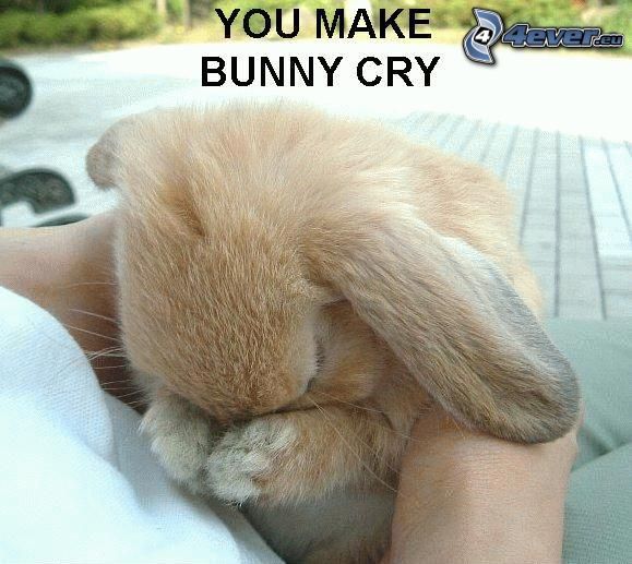 rabbit, cry