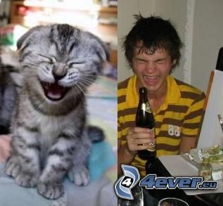 similarity, cat, boy