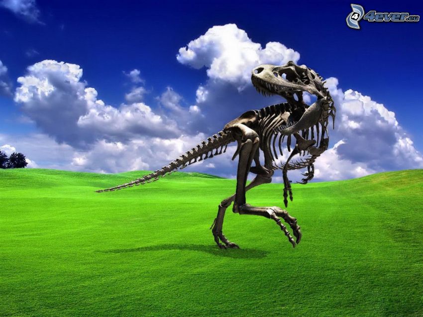Tyrannosaurus, skeleton, grass, clouds, sky
