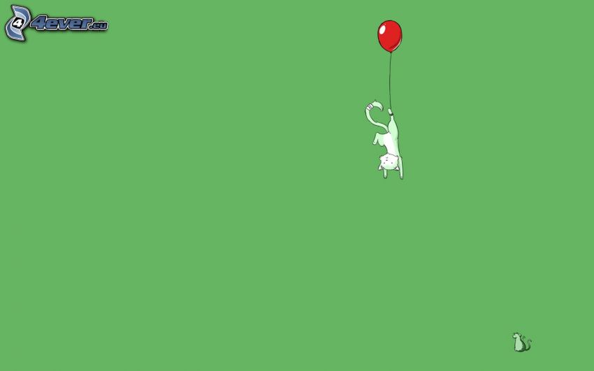 cartoon cat, white cat, balloon