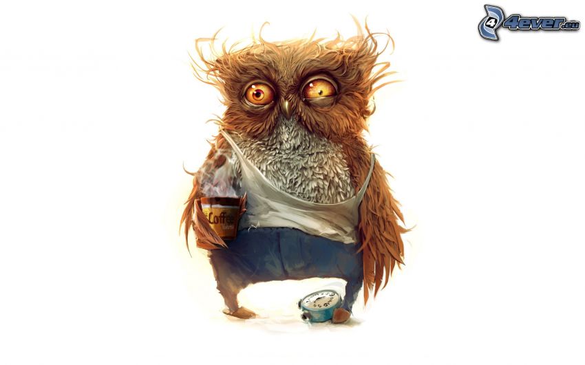 cartoon owl, fatigue, alarm clock, coffee, brown owl