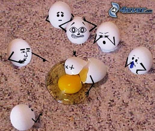 eggs, egg, death, funny