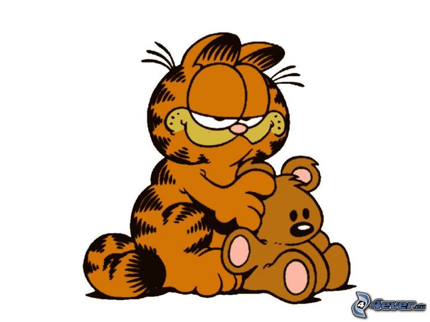 Garfield, teddy bear