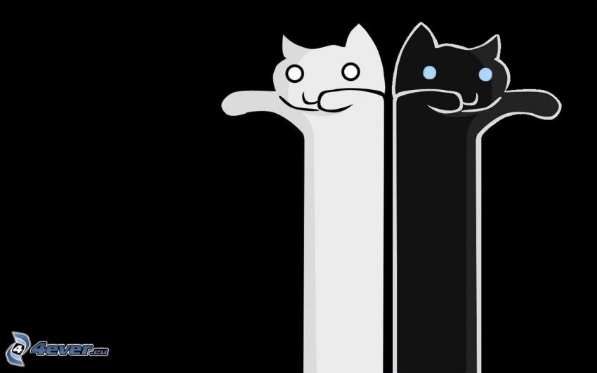 long cat, black and white