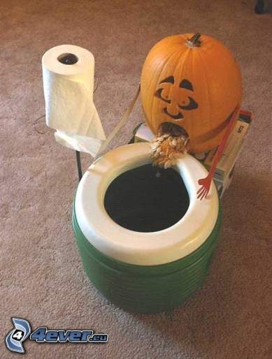 WC, pumpkin, toilet paper