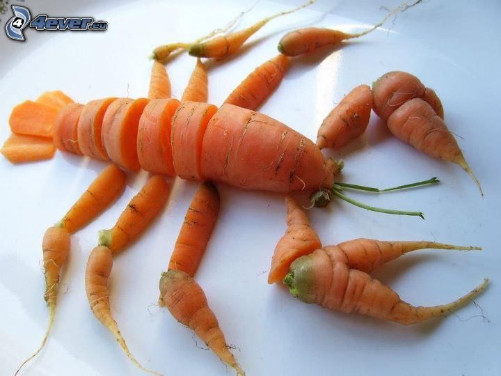 crayfish, carrot