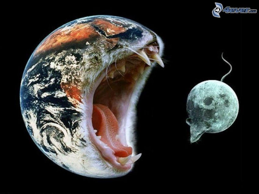 Earth and Moon, cat and mouse