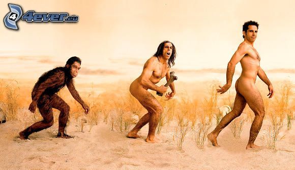 Ben Stiller, evolution