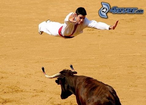 rodeo, torero, bull, jump, flight