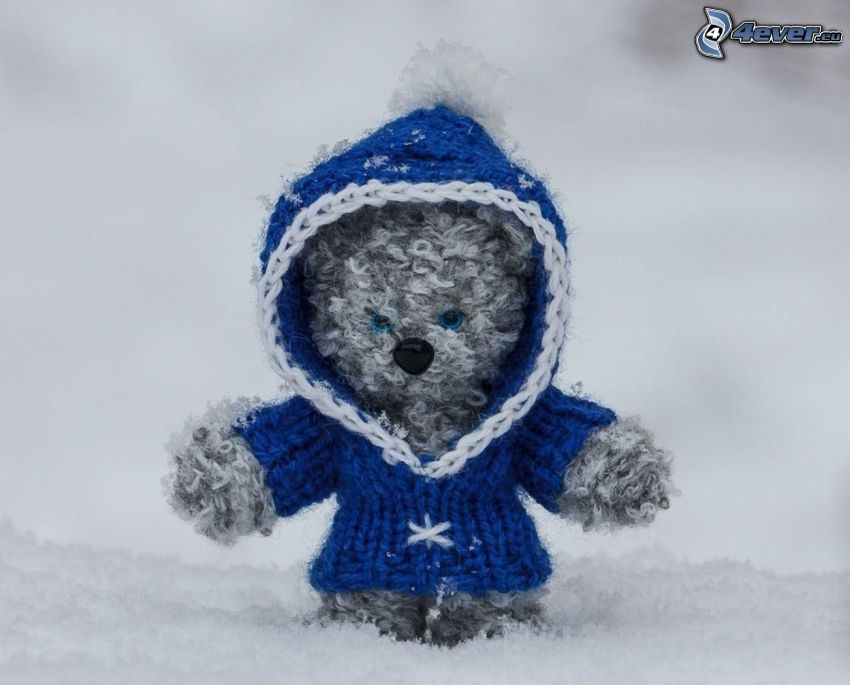 teddy bear, sweater, snow
