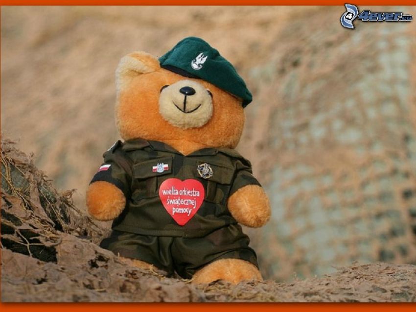 teddy bear, uniform