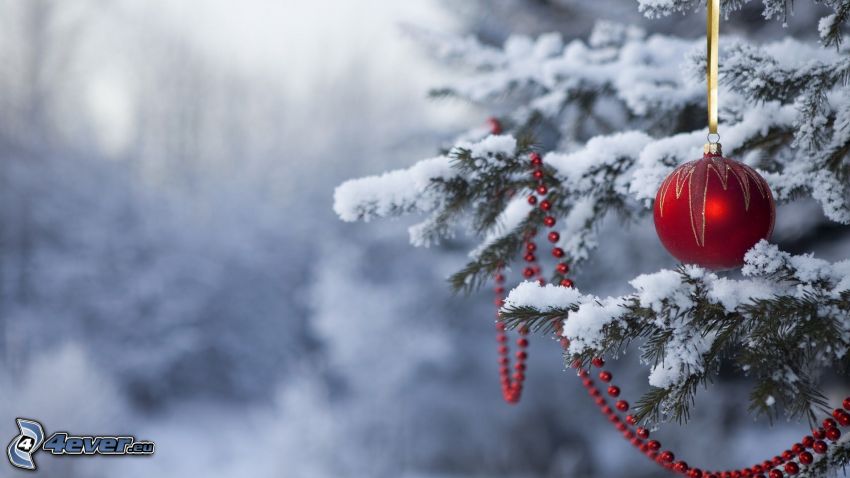 christmas ball, christmas decorations, snowy tree