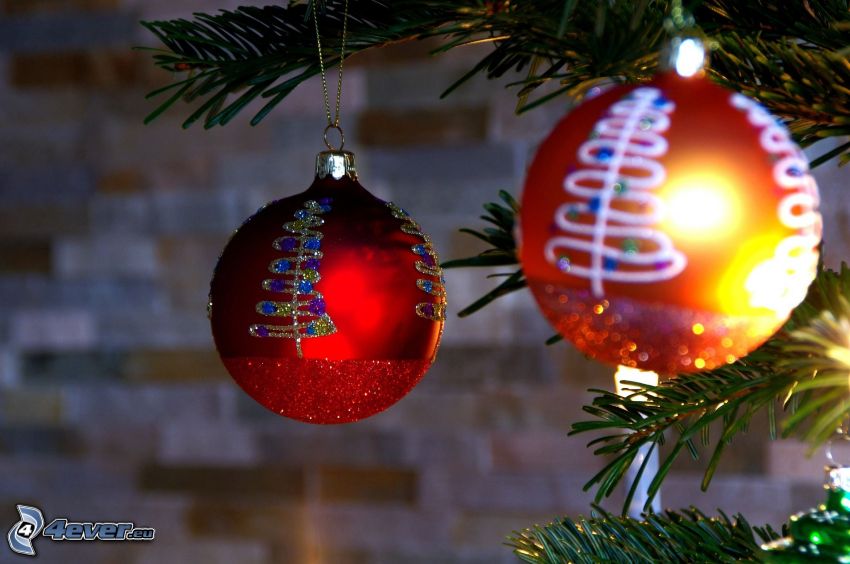 christmas balls, coniferous branches
