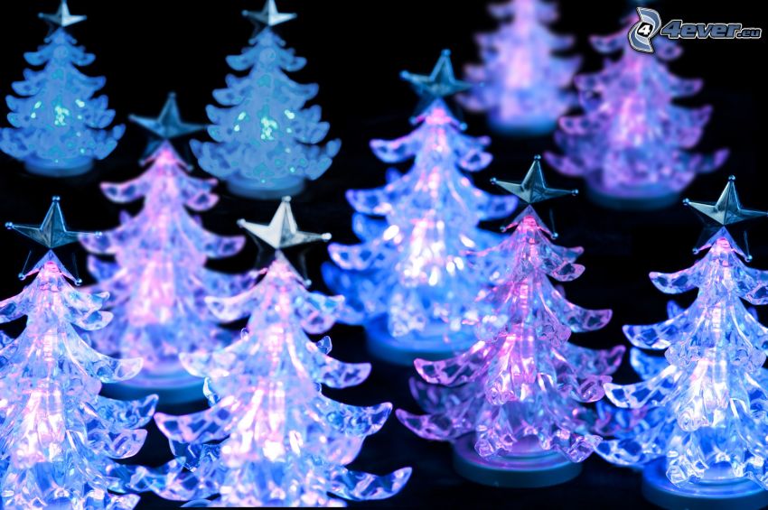 christmas tree, lights