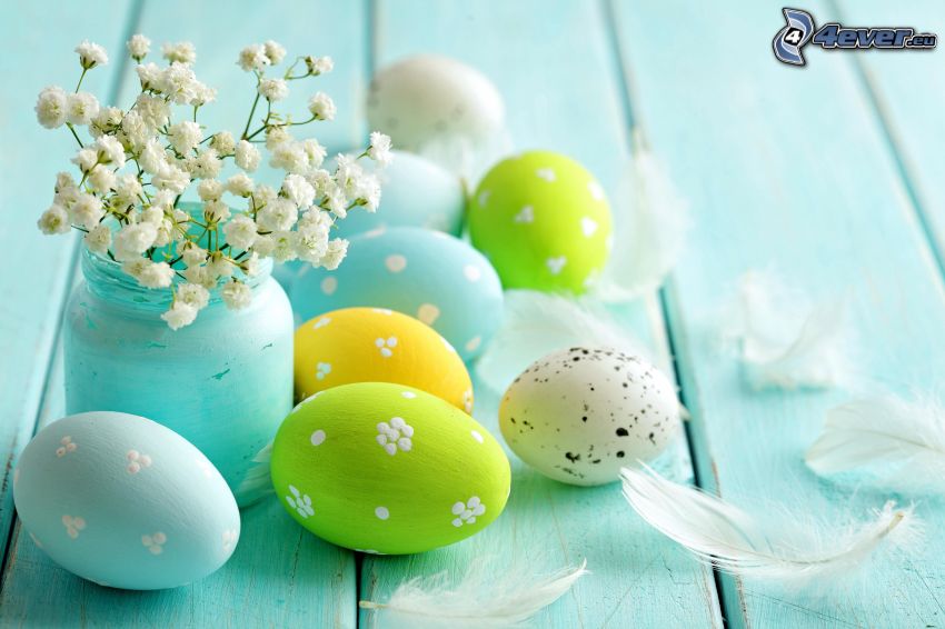 painted Eggs, easter eggs, white flowers, feathers
