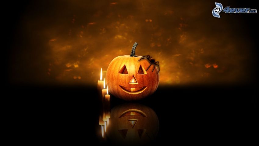 halloween pumpkin, candles, spider, darkness