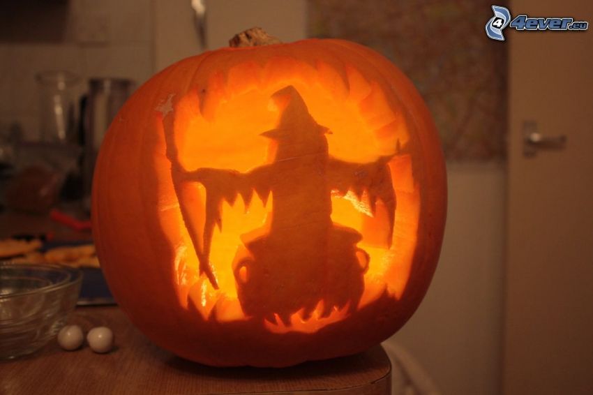 halloween pumpkin, witch