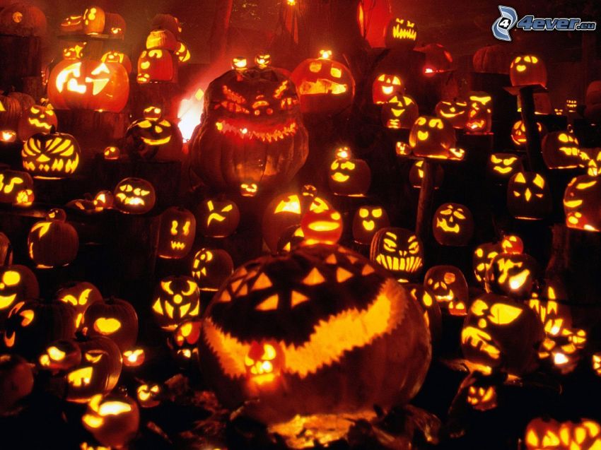 halloween pumpkins, candles, darkness