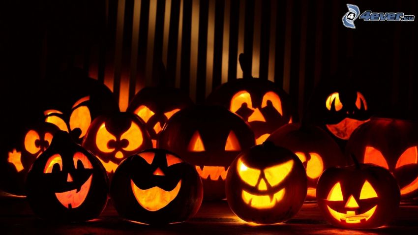 halloween pumpkins, darkness