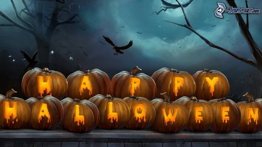 halloween pumpkins, Halloween, birds, silhouettes of the trees, night