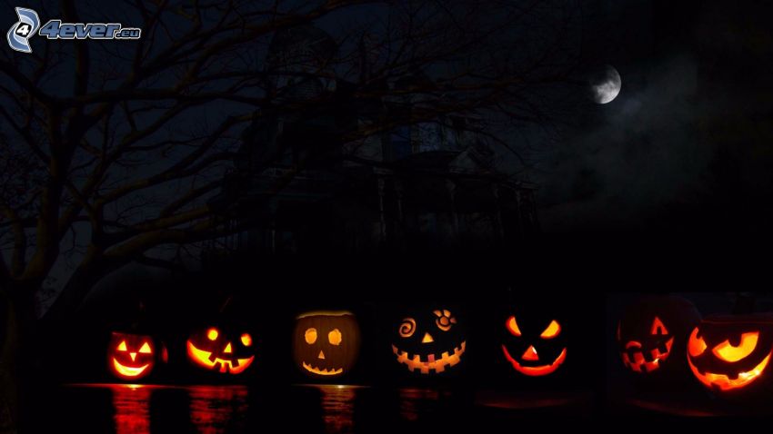 halloween pumpkins, night, moon