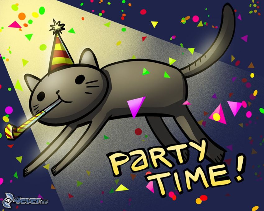 party, cat, celebration
