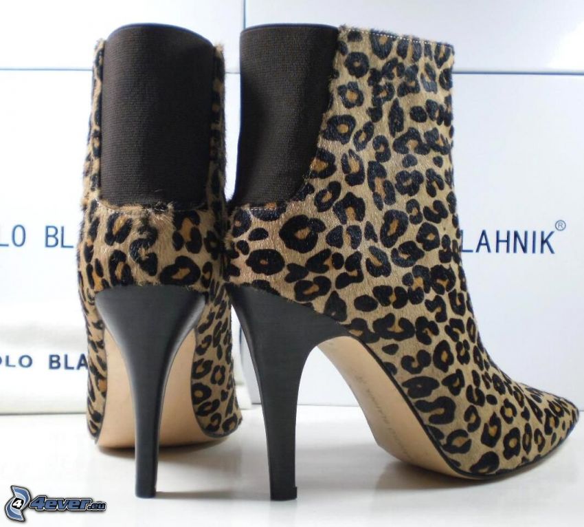 Manolo Blahnik shoes