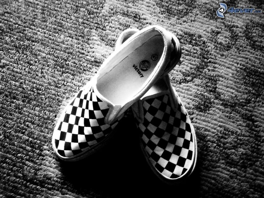 shoe, slippers, chessboard