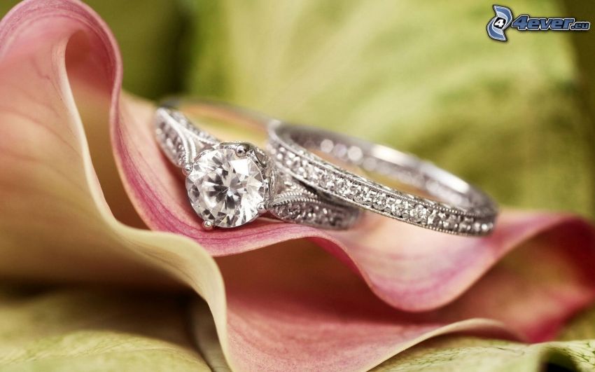 wedding rings, leaf