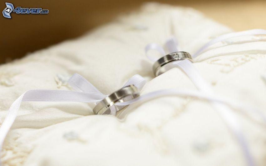 wedding rings, pillow