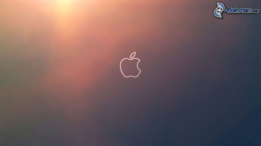 Apple, gray background