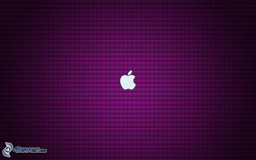 Apple, squares, purple background