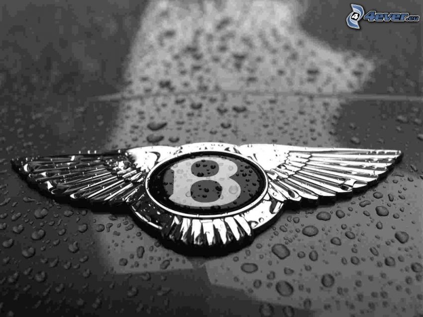 Bentley, drops of water