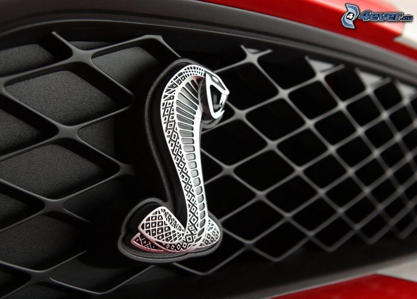 logo, Ford Mustang Shelby GT500, front grille