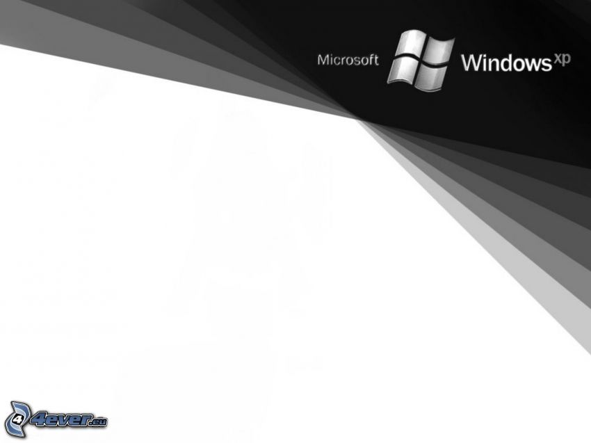 Microsoft Windows XP, logo