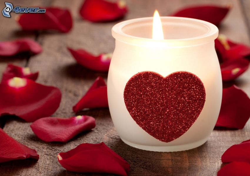 candle, heart, rose petals